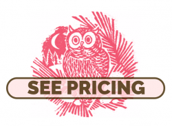 Graphic button with our "See pricing"